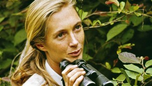 Jane Goodall.jpeg